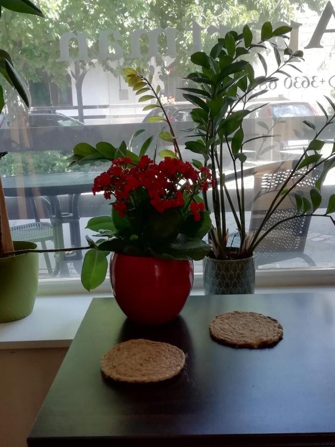 Cehmesterek Apartman إغير المظهر الخارجي الصورة